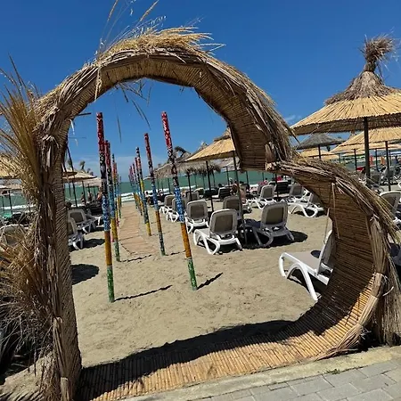 Blue By Comfort Daire